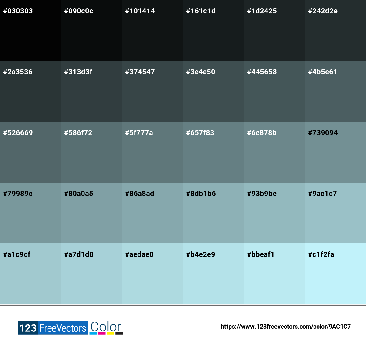 pantone 13 4810 tpg