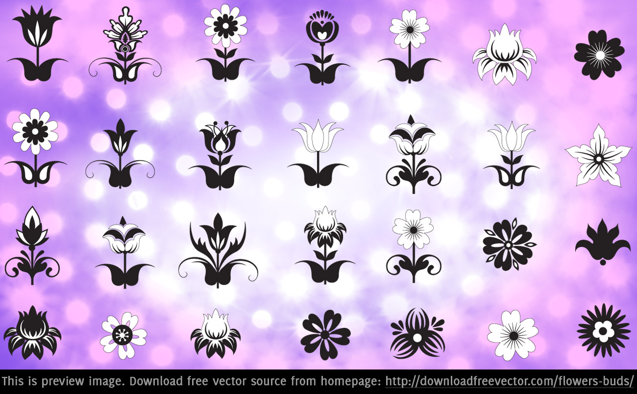 Flowers Buds Free Vector