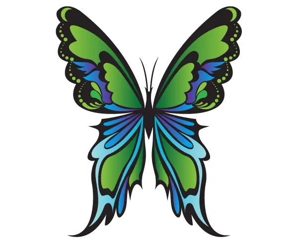 Free Green Butterfly Vector Graphics | 123Freevectors